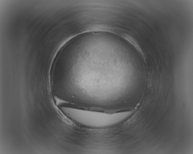 X0000067840996200604201237