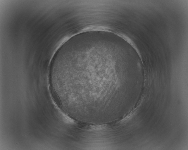 X0000067840997200604201237