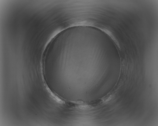 X0000067840998200604201237