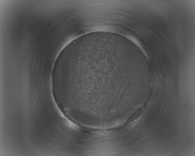 X0000067840999200604201237