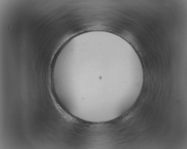 X0000067841000200604201237