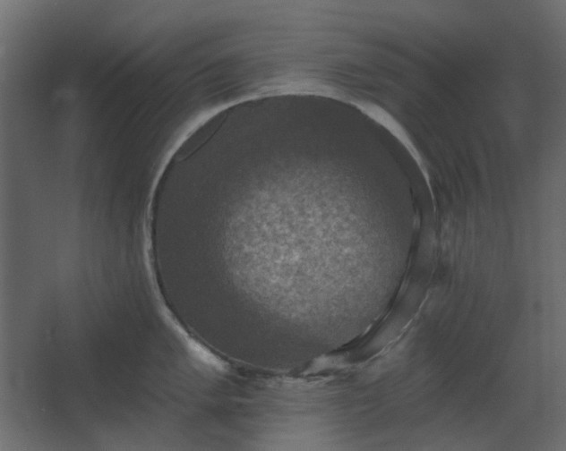 X0000067841005200604201236