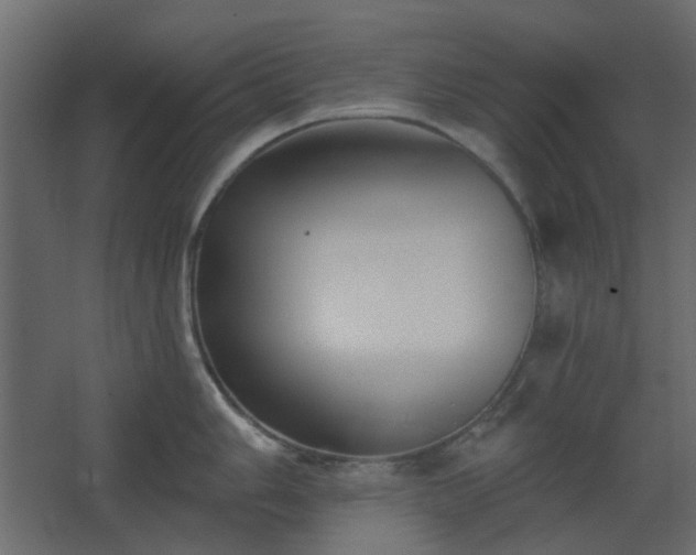 X0000067841006200604201236