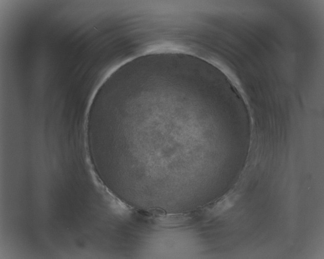 X0000067841008200604201236