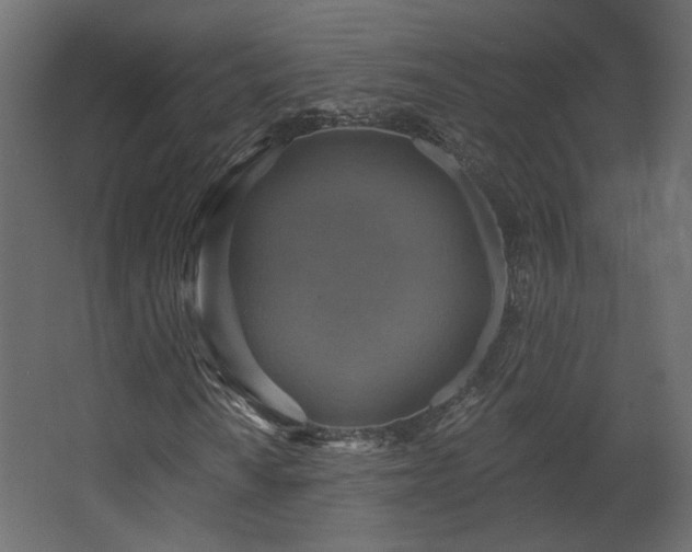 X0000067841010200604201236