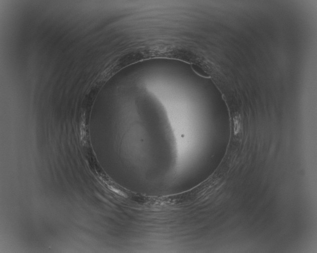 X0000067841011200604201236