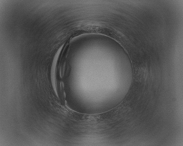 X0000067841013200604201236