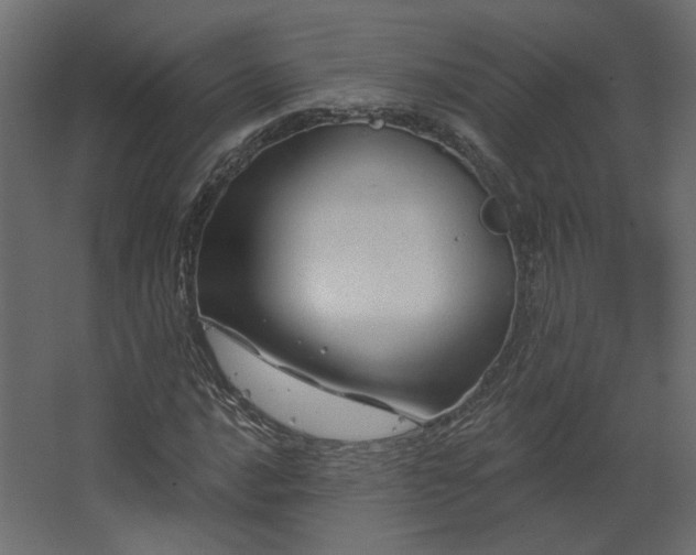 X0000067841016200604201236