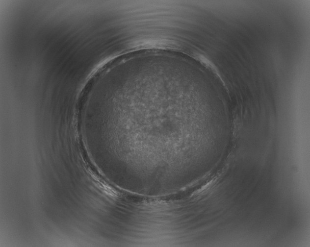 X0000067841019200604201236