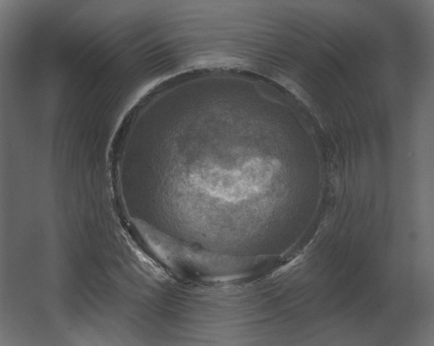 X0000067841022200604201236