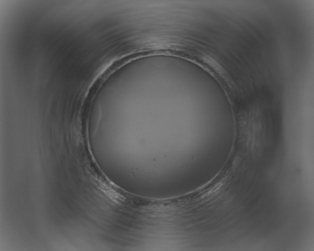 X0000067841023200604201236