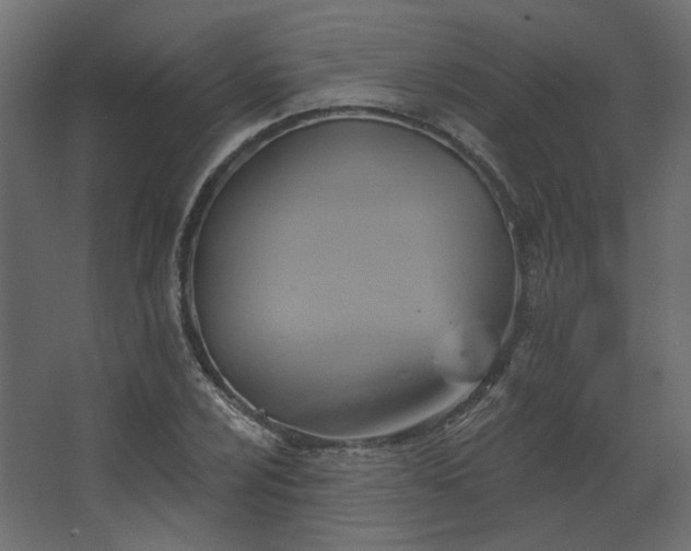 X0000067841024200604201236