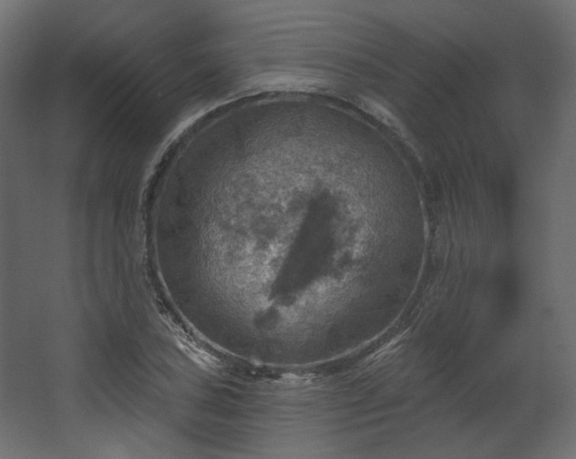 X0000067841027200604201236