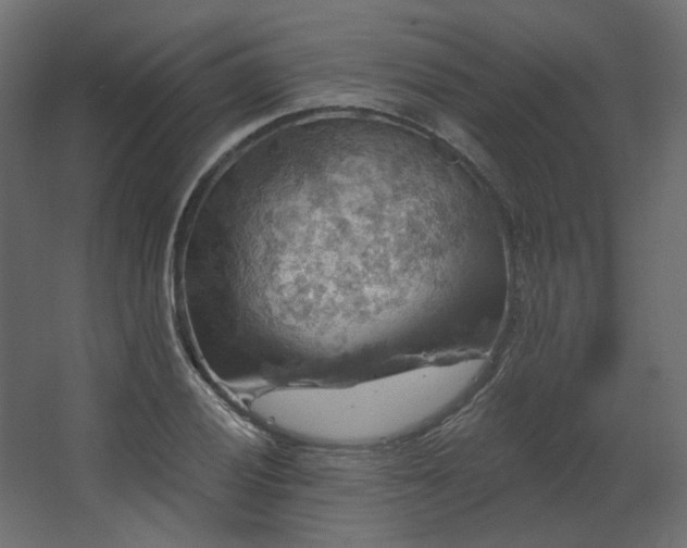 X0000067841028200604201236