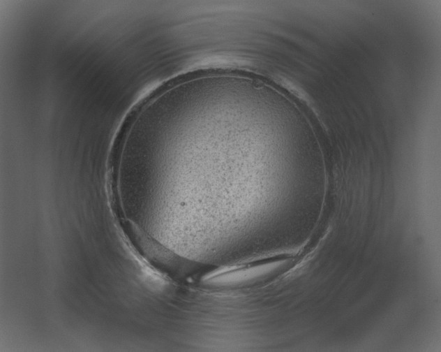 X0000067841029200604201236