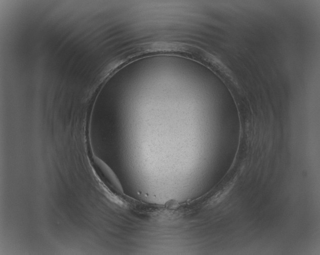 X0000067841033200604201236