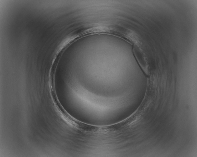 X0000067841034200604201236