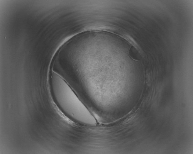 X0000067841036200604201236