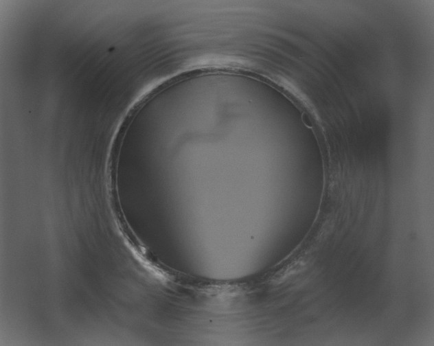 X0000067841037200604201236