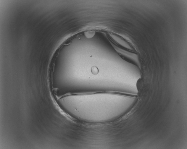 X0000067841038200604201236