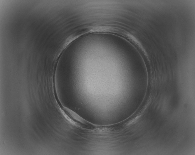 X0000067841041200604201236