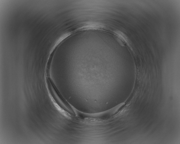 X0000067841042200604201236