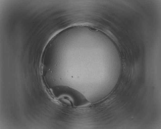 X0000067841044200604201236