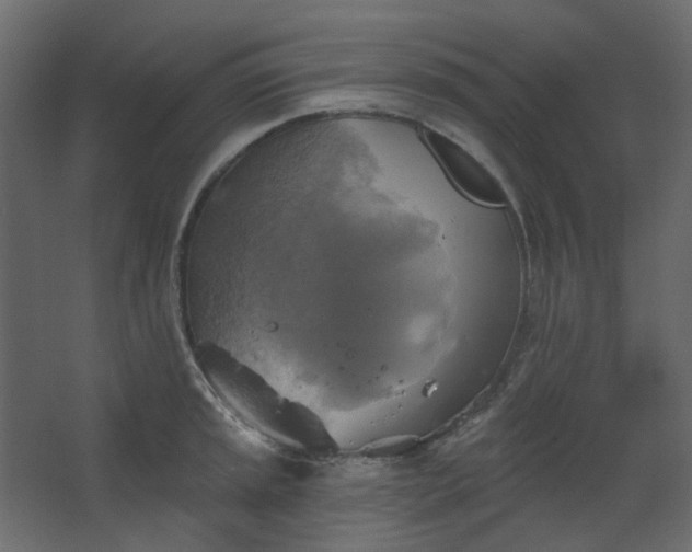 X0000067841045200604201236