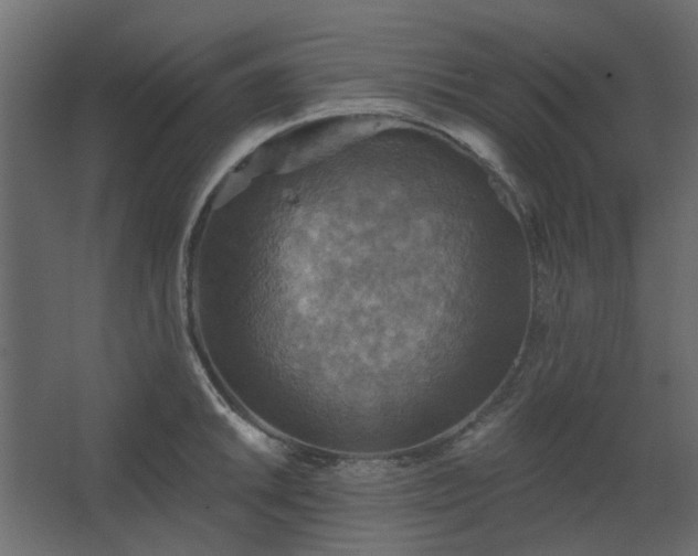 X0000067841046200604201236