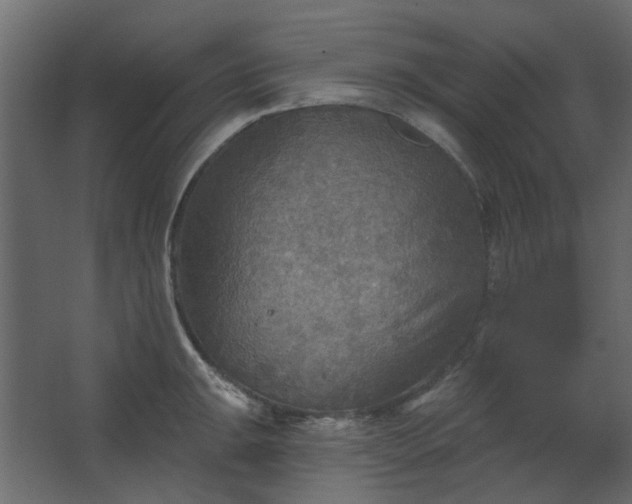 X0000067841047200604201236