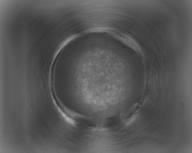 X0000067841050200604201236