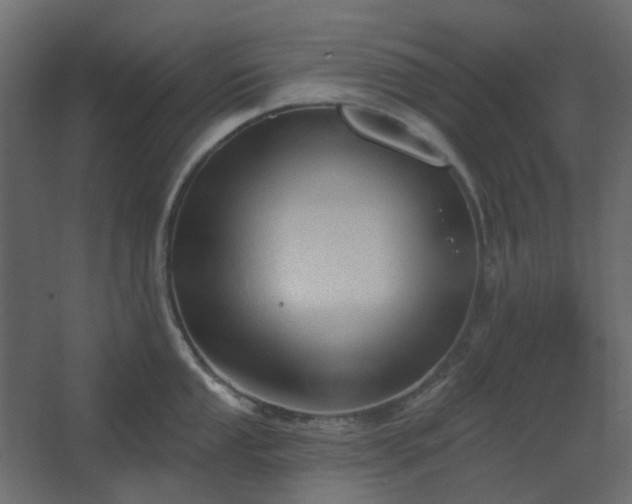 X0000067841053200604201236