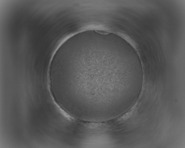 X0000067841056200604201236