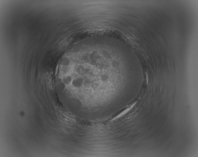 X0000067841059200604201236