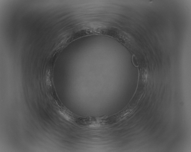 X0000067841060200604201236