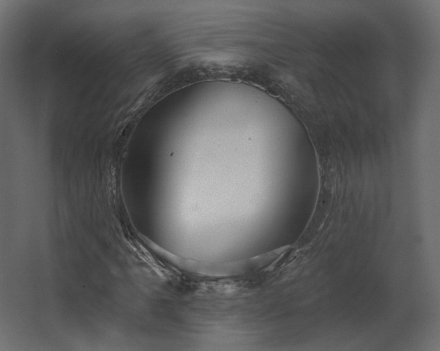 X0000067841061200604201236