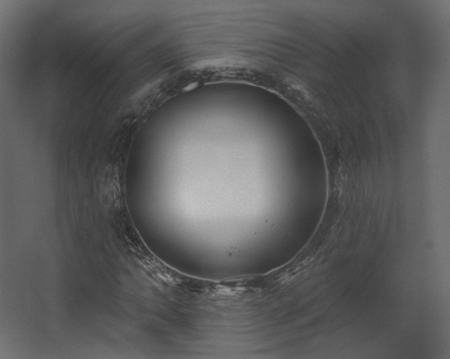 X0000067841062200604201236