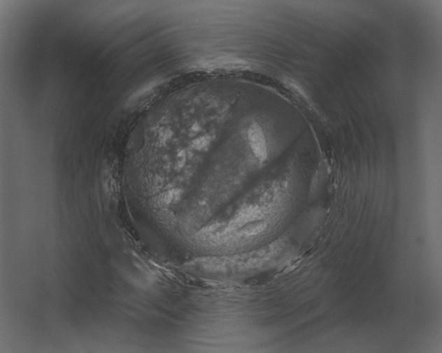 X0000067841063200604201235