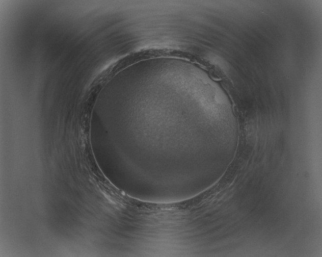 X0000067841064200604201235