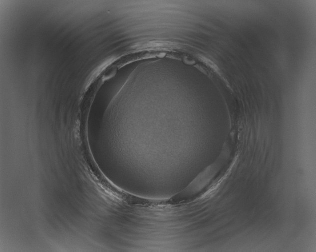 X0000067841066200604201235