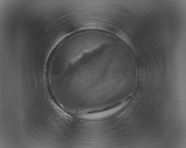 X0000067841068200604201235