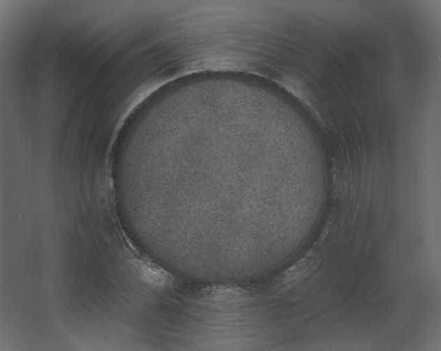 X0000067841070200604201235