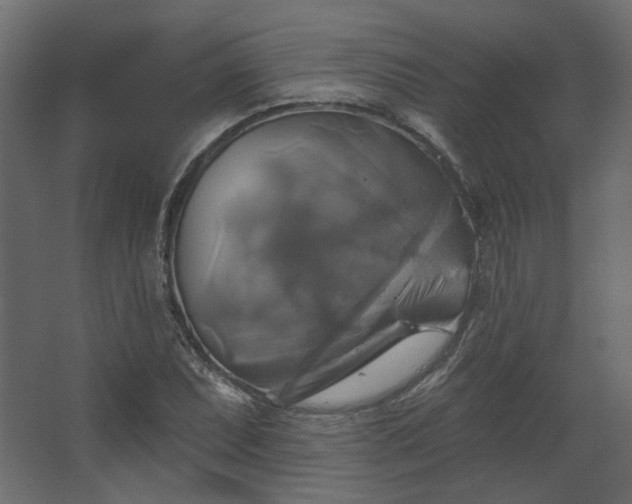 X0000067841071200604201235