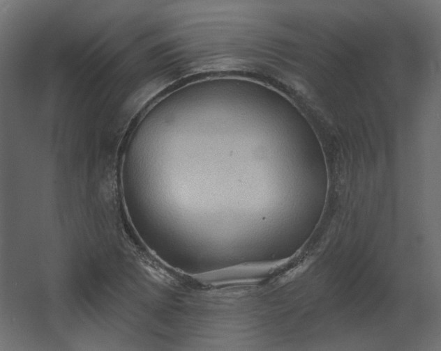 X0000067841073200604201235