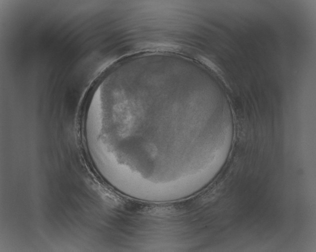 X0000067841074200604201235