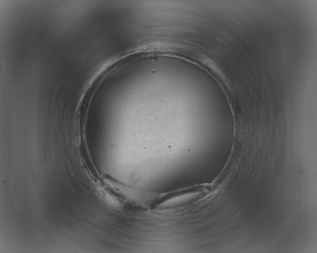 X0000067841075200604201235