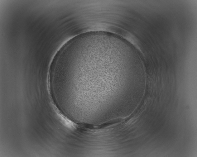 X0000067841076200604201235