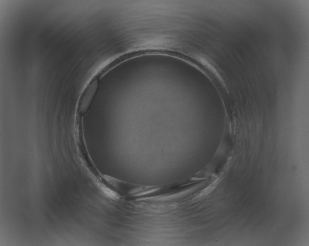 X0000067841077200604201235