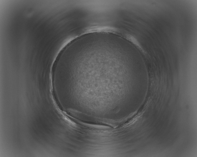 X0000067841079200604201235