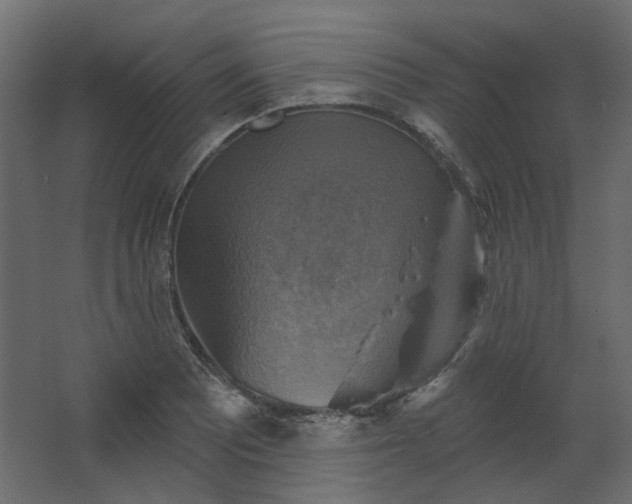 X0000067841081200604201235